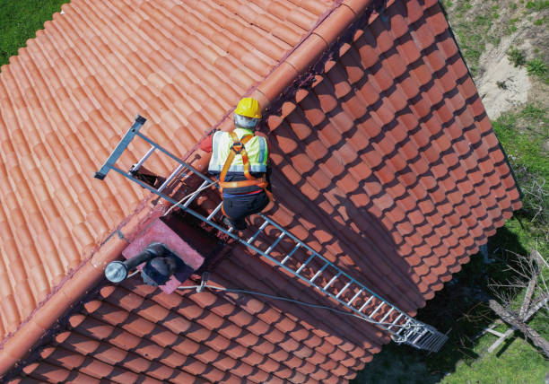 Roof Coating Services in Youngtown, AZ